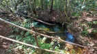 Foto 6 de Fazenda/Sítio com 2 Quartos à venda, 20000m² em , Pirenópolis