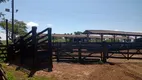 Foto 50 de Fazenda/Sítio com 3 Quartos à venda, 150m² em Zona Rural, Pilar do Sul
