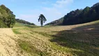 Foto 8 de Fazenda/Sítio à venda, 22000m² em Centro, Campo Magro