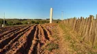 Foto 10 de Fazenda/Sítio com 4 Quartos à venda, 500m² em Reforma Agraria, Valinhos