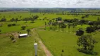 Foto 20 de Fazenda/Sítio com 3 Quartos à venda, 500m² em Zona Rural, Guapó