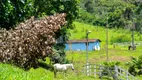 Foto 21 de Fazenda/Sítio com 11 Quartos à venda, 940000m² em Centro, Cláudio