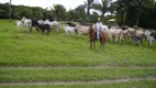 Foto 9 de Imóvel Comercial à venda, 4610000m² em Centro, Caravelas