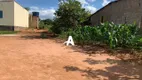 Foto 9 de Fazenda/Sítio à venda, 2500m² em Miraporanga, Uberlândia