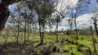 Foto 3 de Fazenda/Sítio à venda, 2000m² em , Campina Grande do Sul