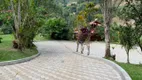 Foto 50 de Fazenda/Sítio com 4 Quartos à venda, 20000m² em Vale da Estacao, Domingos Martins