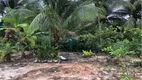 Foto 9 de Lote/Terreno à venda, 1200m² em Barra Grande , Vera Cruz