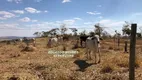 Foto 23 de Fazenda/Sítio com 3 Quartos à venda, 145200m² em Zona Rural, Gameleira de Goiás