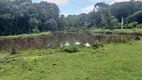 Foto 10 de Fazenda/Sítio com 3 Quartos à venda, 21000m² em Campo Largo da Roseira, São José dos Pinhais