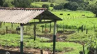 Foto 8 de Fazenda/Sítio com 4 Quartos à venda, 1000000m² em Zona Rural, Paraisópolis