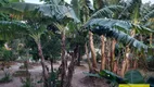 Foto 60 de Fazenda/Sítio com 4 Quartos à venda, 450m² em Chácara Flórida, Itu