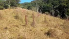 Foto 17 de Fazenda/Sítio à venda, 193600m² em Centro, São Miguel Arcanjo