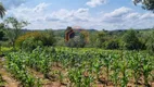 Foto 20 de Fazenda/Sítio com 6 Quartos à venda, 300m² em CERCADINHO, Alambari