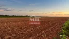 Foto 2 de Fazenda/Sítio com 6 Quartos à venda, 500m² em Setor Central, Santa Fé do Araguaia