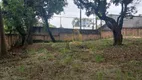 Foto 3 de Lote/Terreno à venda, 679m² em Cidade Jardim, São Paulo