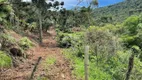 Foto 22 de Lote/Terreno à venda, 20000m² em Centro, Rio Rufino