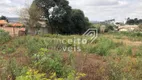 Foto 19 de Lote/Terreno para alugar, 9240m² em Uvaranas, Ponta Grossa