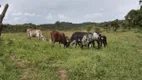 Foto 13 de Fazenda/Sítio com 3 Quartos à venda em , Dias D Ávila