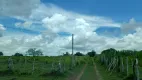 Foto 36 de Fazenda/Sítio com 3 Quartos para venda ou aluguel, 300000m² em Centro, Taipu