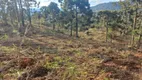 Foto 6 de Lote/Terreno à venda, 20000m² em Zona Rural, Urubici