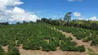 Foto 2 de Fazenda/Sítio à venda, 299000m² em Zona Rural, Carmo do Rio Claro