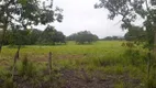 Foto 13 de Fazenda/Sítio à venda em Centro, Posse