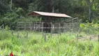 Foto 58 de Fazenda/Sítio com 7 Quartos à venda, 146000m² em Papucaia, Cachoeiras de Macacu