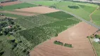 Foto 13 de Fazenda/Sítio com 1 Quarto à venda, 10m² em Area Rural de Engenheiro Coelho, Engenheiro Coelho