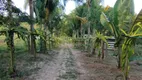 Foto 33 de Fazenda/Sítio com 3 Quartos à venda, 372m² em Area Rural de Engenheiro Coelho, Engenheiro Coelho