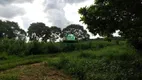 Foto 23 de Fazenda/Sítio à venda, 10000m² em Centro, Hidrolândia