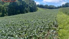 Foto 15 de Fazenda/Sítio à venda, 48400m² em Morro Grande, Colombo