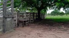 Foto 5 de Fazenda/Sítio à venda em Zona Rural, Novo Brasil