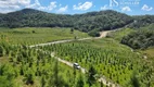 Foto 12 de Fazenda/Sítio com 2 Quartos à venda, 3700000m² em , Antônio Carlos