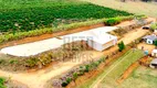 Foto 26 de Fazenda/Sítio à venda, 250000m² em Zona Rural, Alfenas