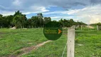 Foto 14 de Fazenda/Sítio à venda, 6100000m² em Zona Rural, Cocalinho