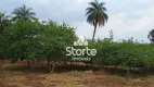 Foto 14 de Fazenda/Sítio à venda, 20000m² em Area Rural de Araguari, Araguari