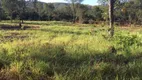 Foto 12 de Fazenda/Sítio com 2 Quartos à venda, 4840000m² em Zona Rural, Vila Propício