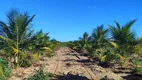 Foto 16 de Fazenda/Sítio com 2 Quartos à venda, 50m² em Zona Rural, Touros