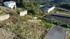 Foto 8 de Lote/Terreno à venda, 375m² em , Flores da Cunha