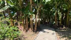 Foto 4 de Fazenda/Sítio com 3 Quartos à venda, 146m² em , Nova Santa Rita