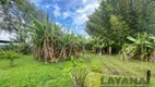 Foto 36 de Fazenda/Sítio com 3 Quartos à venda, 300m² em , Passo de Torres