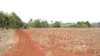 Foto 11 de Lote/Terreno para alugar, 24200m² em Vila Nova, Piracicaba