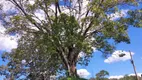 Foto 14 de Fazenda/Sítio com 5 Quartos à venda, 28m² em Area Rural de Brazlandia, Brasília