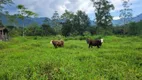 Foto 2 de Fazenda/Sítio com 1 Quarto à venda, 10m² em Vila Nova, Joinville