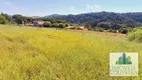 Foto 6 de Fazenda/Sítio à venda, 4205m² em Caixa d Agua, Vinhedo