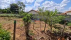 Foto 18 de Fazenda/Sítio com 2 Quartos à venda, 1500m² em Granjas Alvoradas, Juatuba