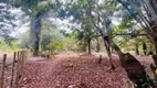 Foto 6 de Lote/Terreno à venda, 20000m² em Centro, Ilhéus