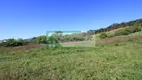 Foto 16 de Fazenda/Sítio com 3 Quartos à venda, 500m² em Zona Rural, Ibiúna