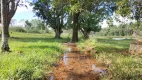 Foto 11 de Fazenda/Sítio com 3 Quartos à venda, 580000m² em Segismundo Pereira, Uberlândia