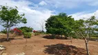 Foto 27 de Lote/Terreno à venda, 350m² em Zona Rural, Sapeaçu